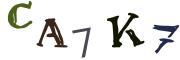Image CAPTCHA